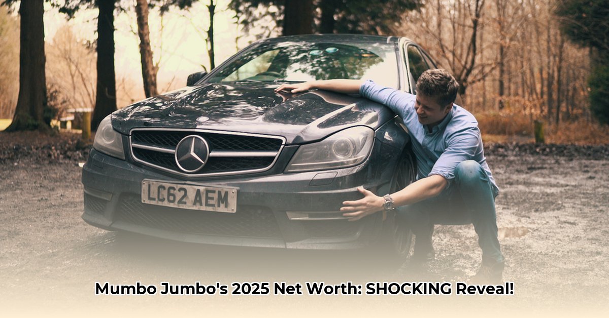 mumbo-jumbo-net-worth